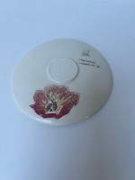 http://www.francesleeceramics.com/files/gimgs/th-53_back of saucer - orange flower-web.jpg